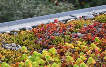 the cost of Eastdon green roof installation