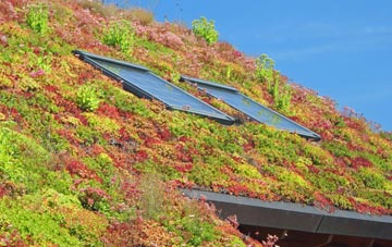 Eastdon living roof systems
