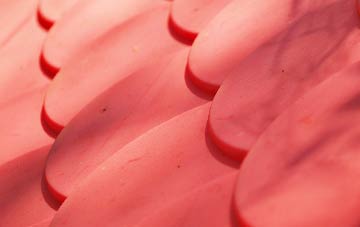 Eastdon plastic roof costs