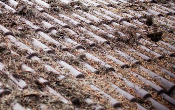 Eastdon roof cleaning companies