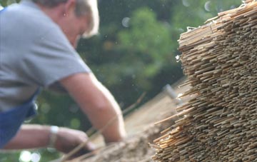 professional Eastdon thatchers