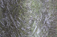 Eastdon fibreglass roof work